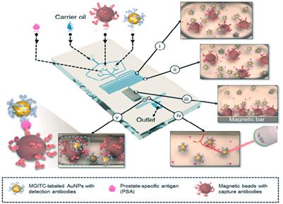 Recent progress of microfluidic chips in immunoassay